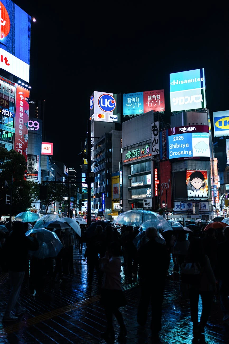 pexels photo 33116245